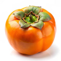 Persimmon