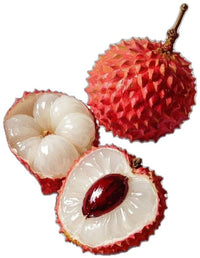 Red Litchi
