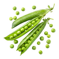 Pea