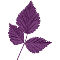 Violet leaf