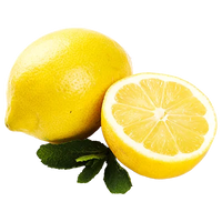 Amalfi Lemon