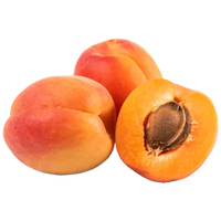 Apricot