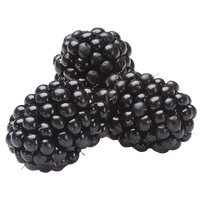 Black Berries