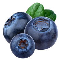 Blueberry