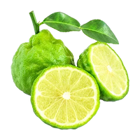 Calabrian Bergamot