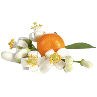 Orange Blossom