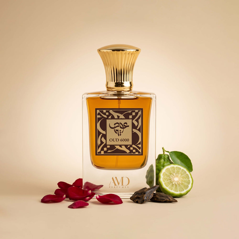 OUD 6000