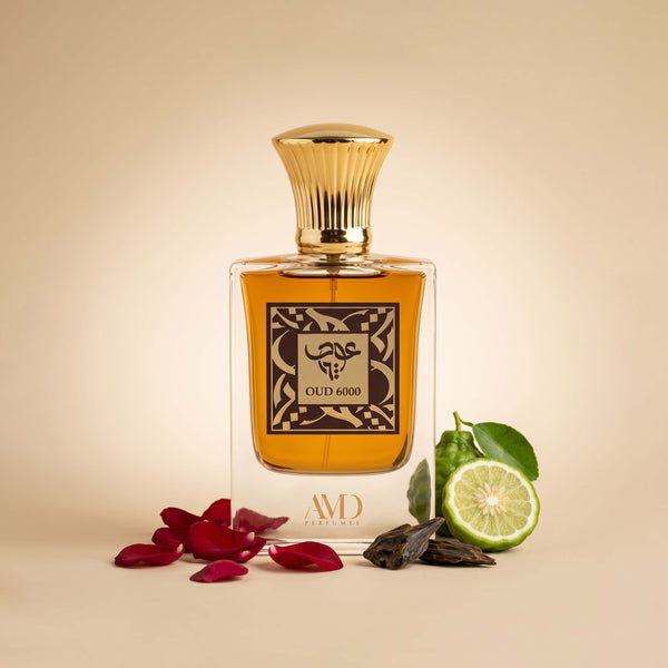 OUD 6000