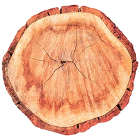 Palisander Rosewood