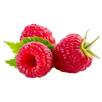 Raspberry