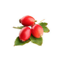 Rose Hip