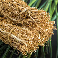 Haitian Vetiver