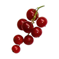 Wild Red Fruits