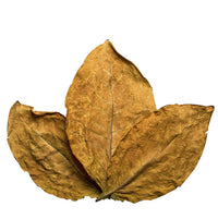 Tobacco Leaf