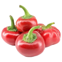 Pimento